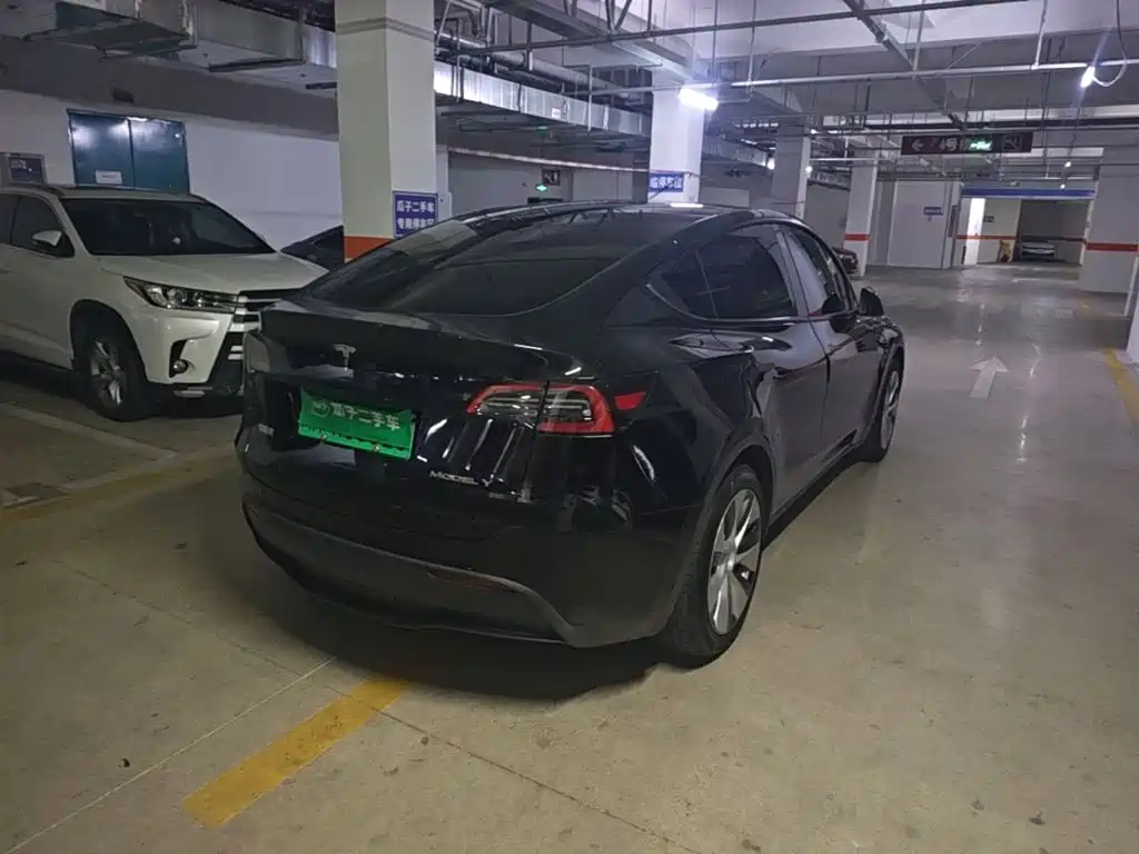 Tesla Model Y — миниатюра 7