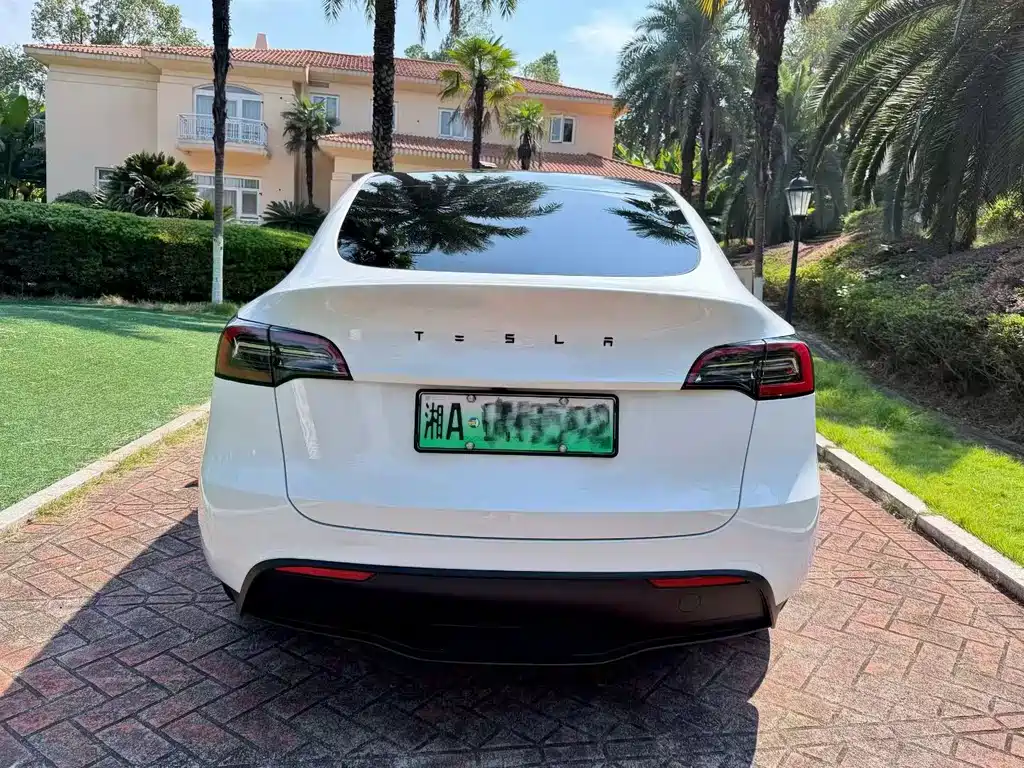 Tesla Model Y — миниатюра 8