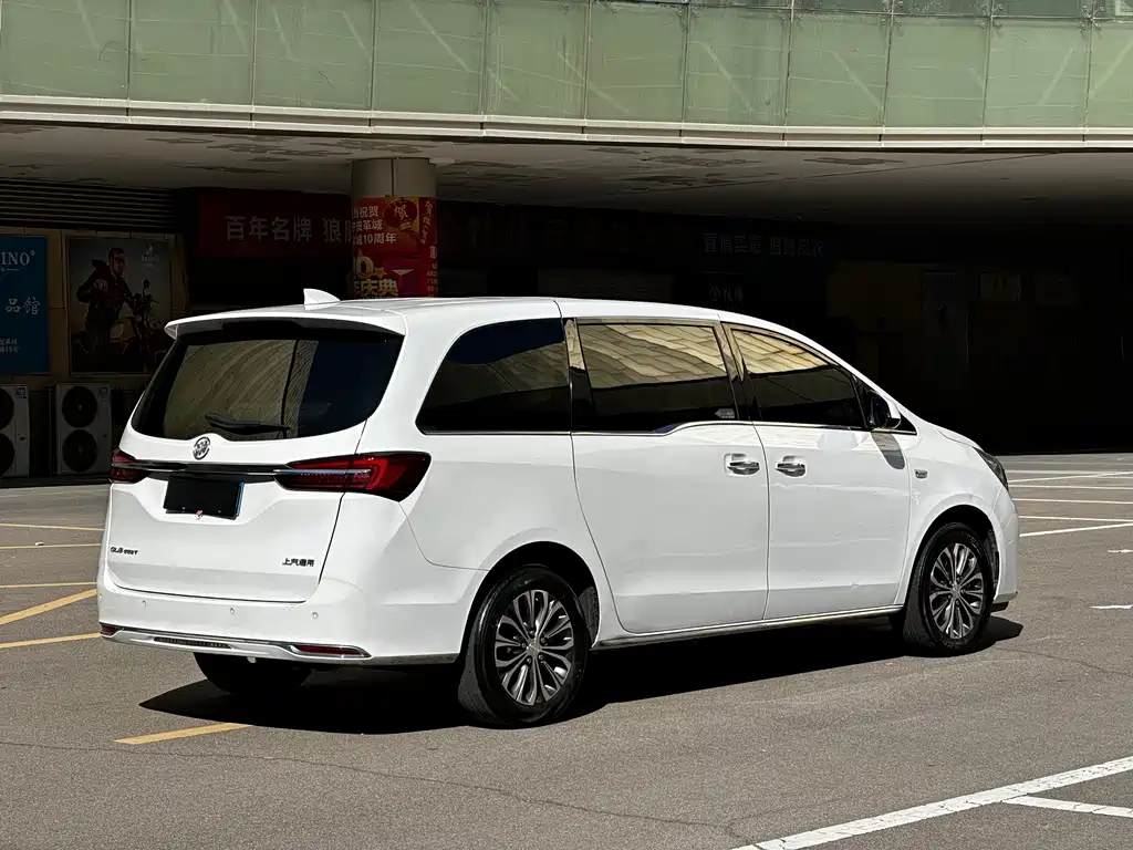 Buick GL8 — миниатюра 11