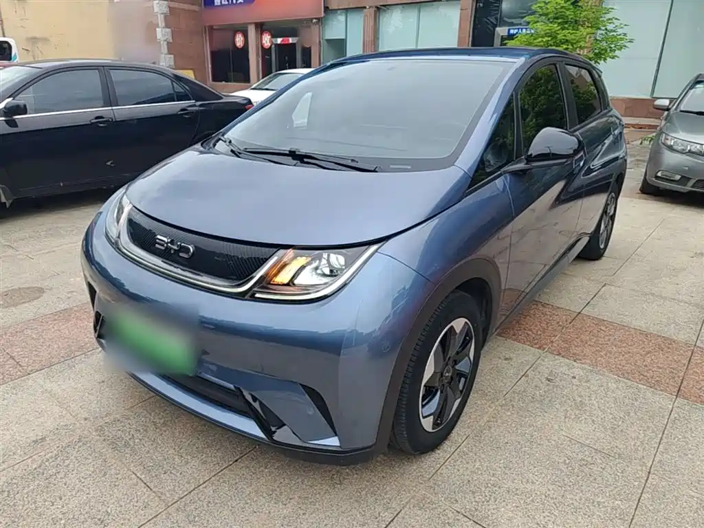 Byd Dolphin 2024