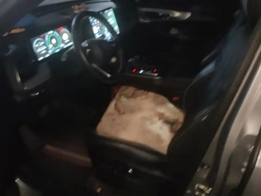 GAC Motor Trumpchi GS8 — миниатюра 9