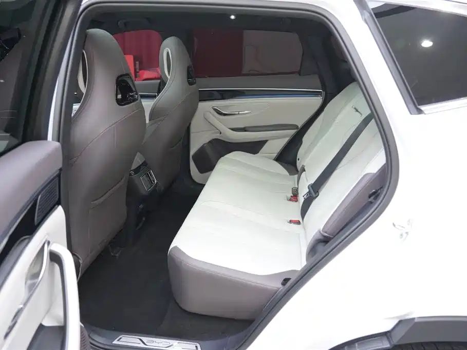 BYD SONGJIANG NEW ENERGY