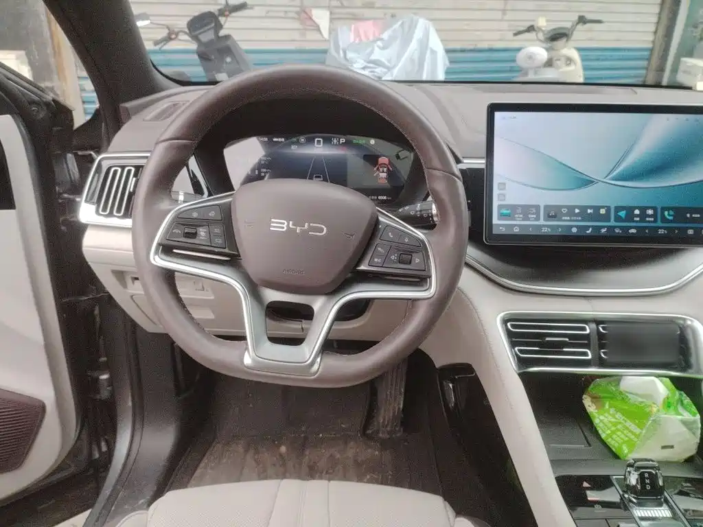 BYD PLUS New Energy — миниатюра 3