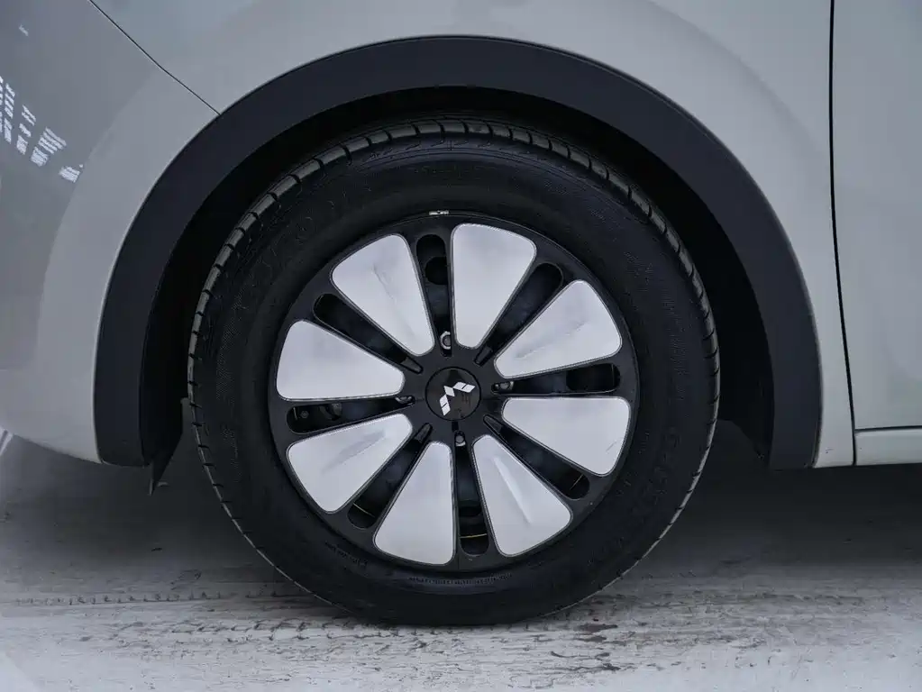 Wuling Binguo 2023 333km +