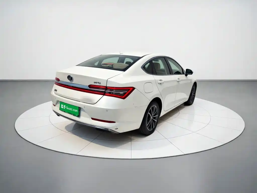 BYD Qin Pro NEV — миниатюра 6