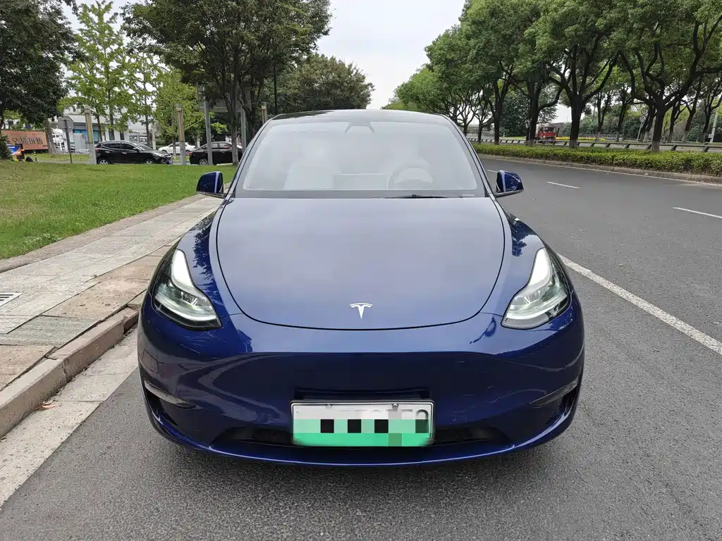 Tesla Model Y — фотографии объявления, Фото 2