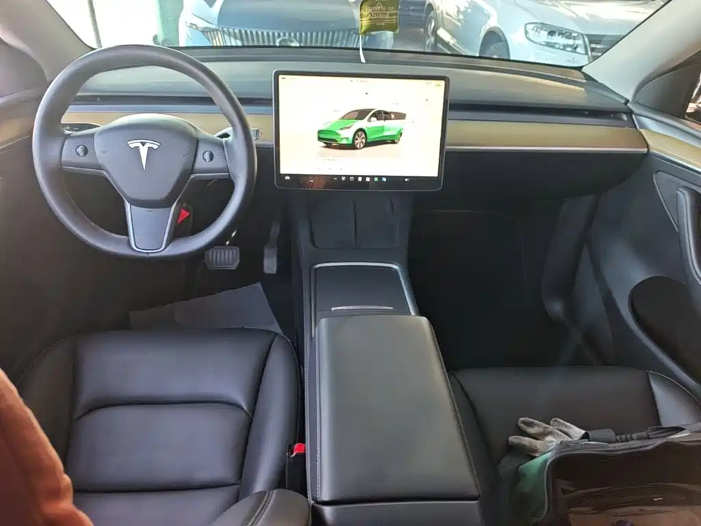 Tesla Model Y — миниатюра 10