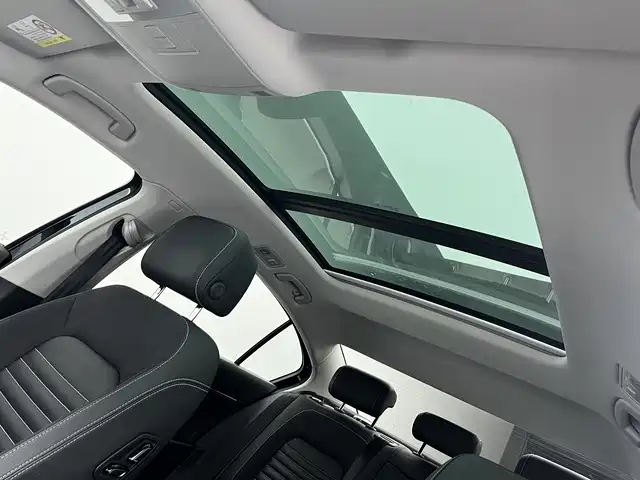 Volkswagen Magotan 2020 330TSI DSG Lead