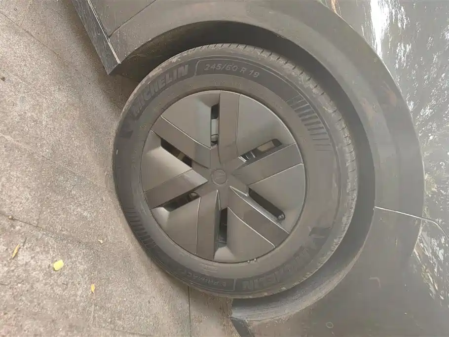 Li Auto MEGA 2025 Home