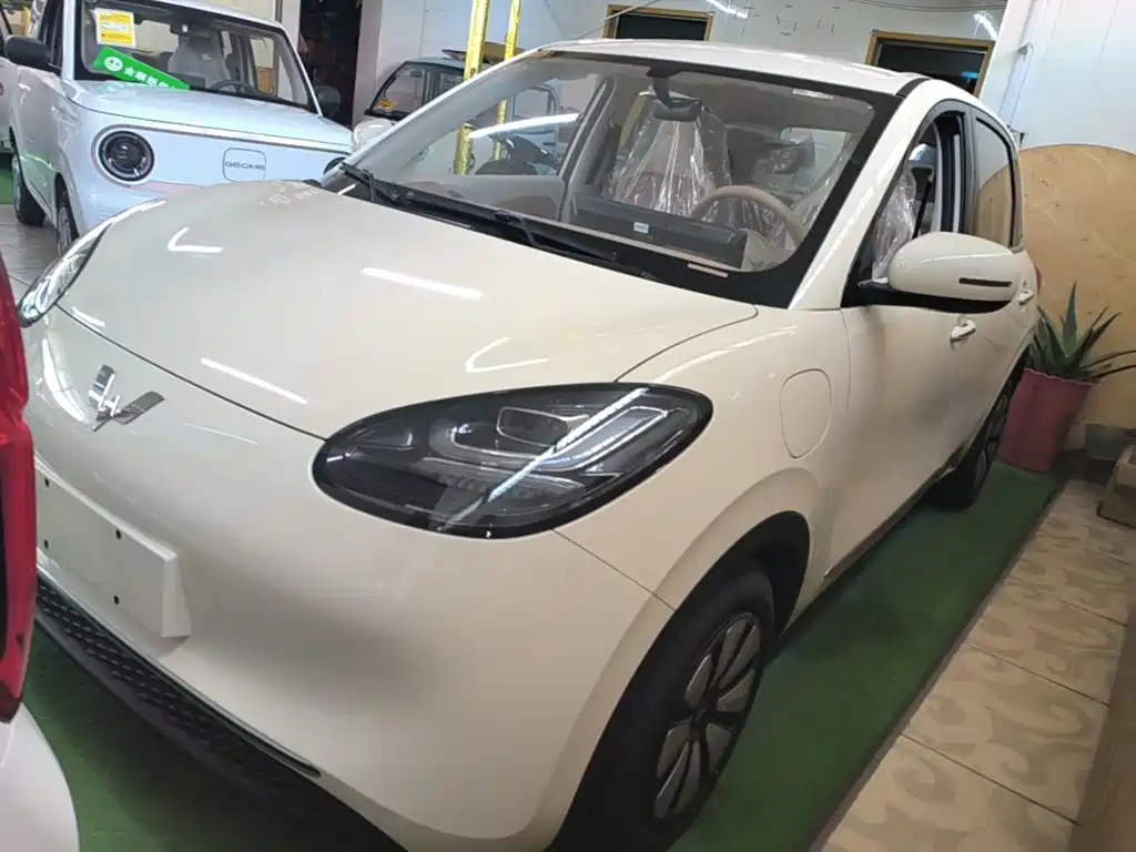 Wuling Binguo