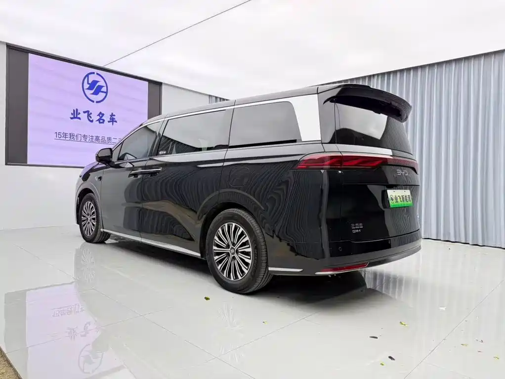 BYD Xia — миниатюра 6