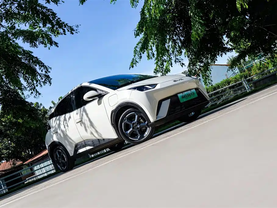 BYD Seagull 2023 Freedom