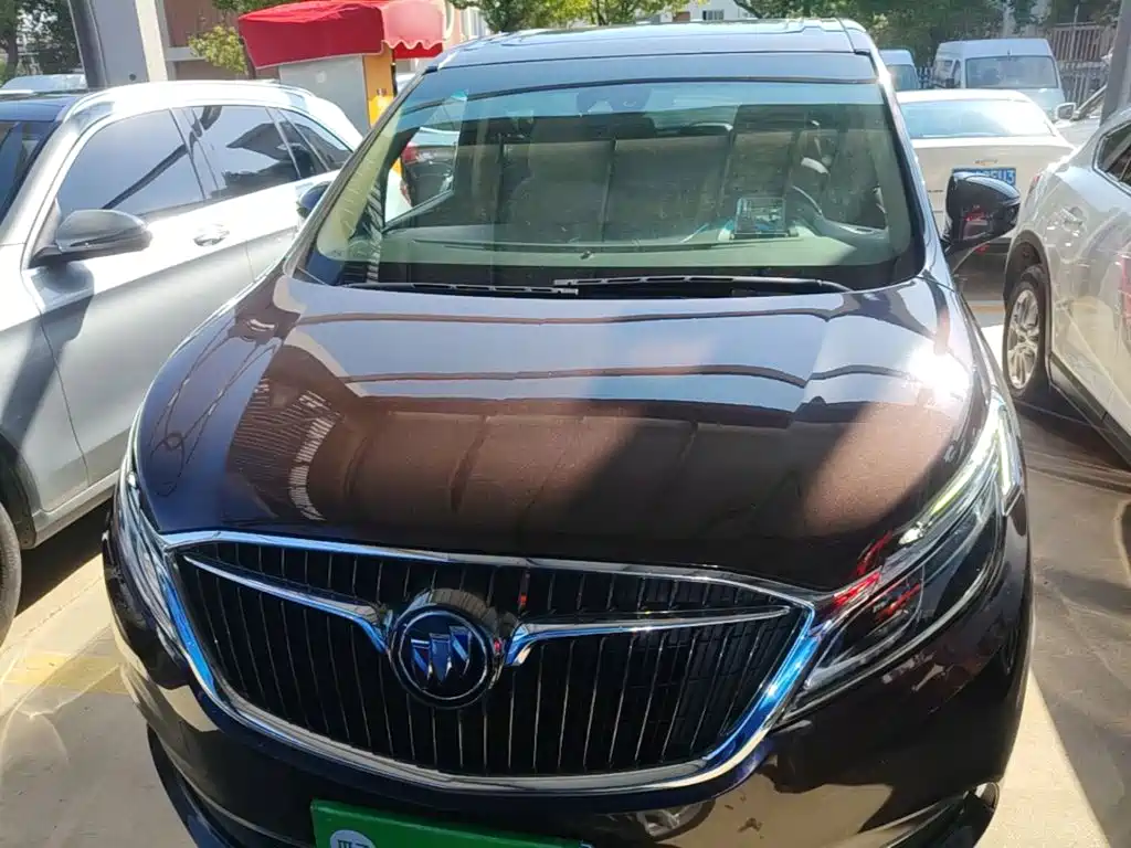Buick GL8 — миниатюра 3