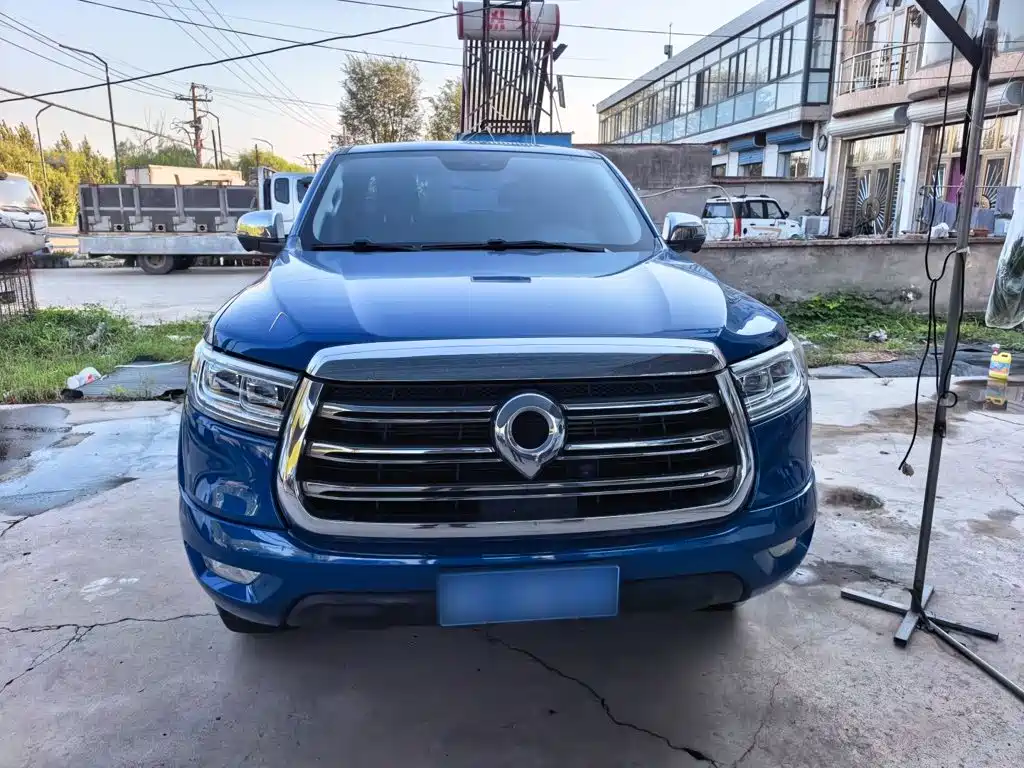 Great Wall Pao — миниатюра 10