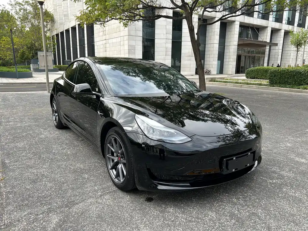 Tesla Model 3 — миниатюра 3
