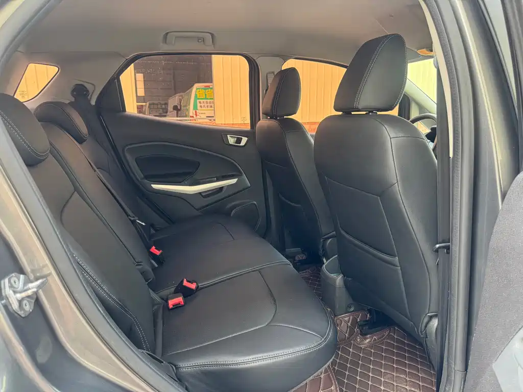 Ford Ecosport — миниатюра 13