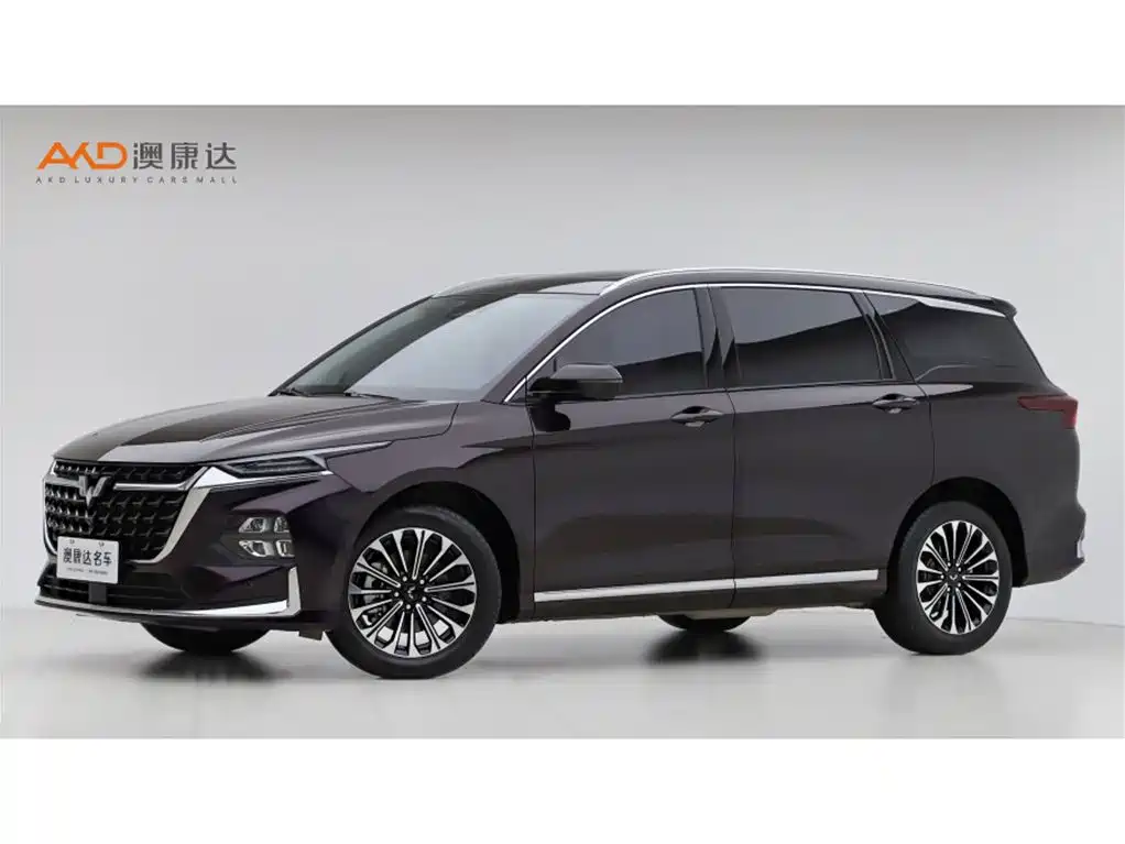Wuling Victory