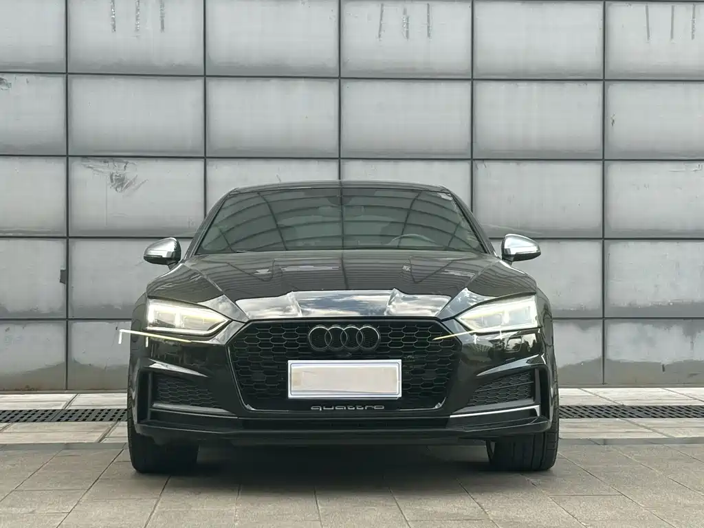 Audi S5 — миниатюра 2