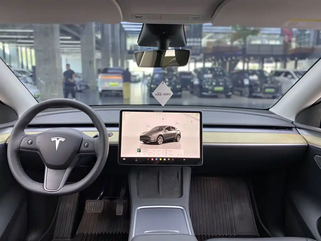 Tesla Model Y — миниатюра 11