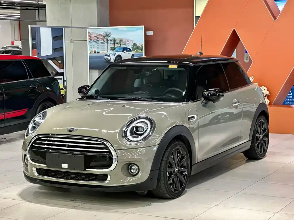 Mini Mini 2020