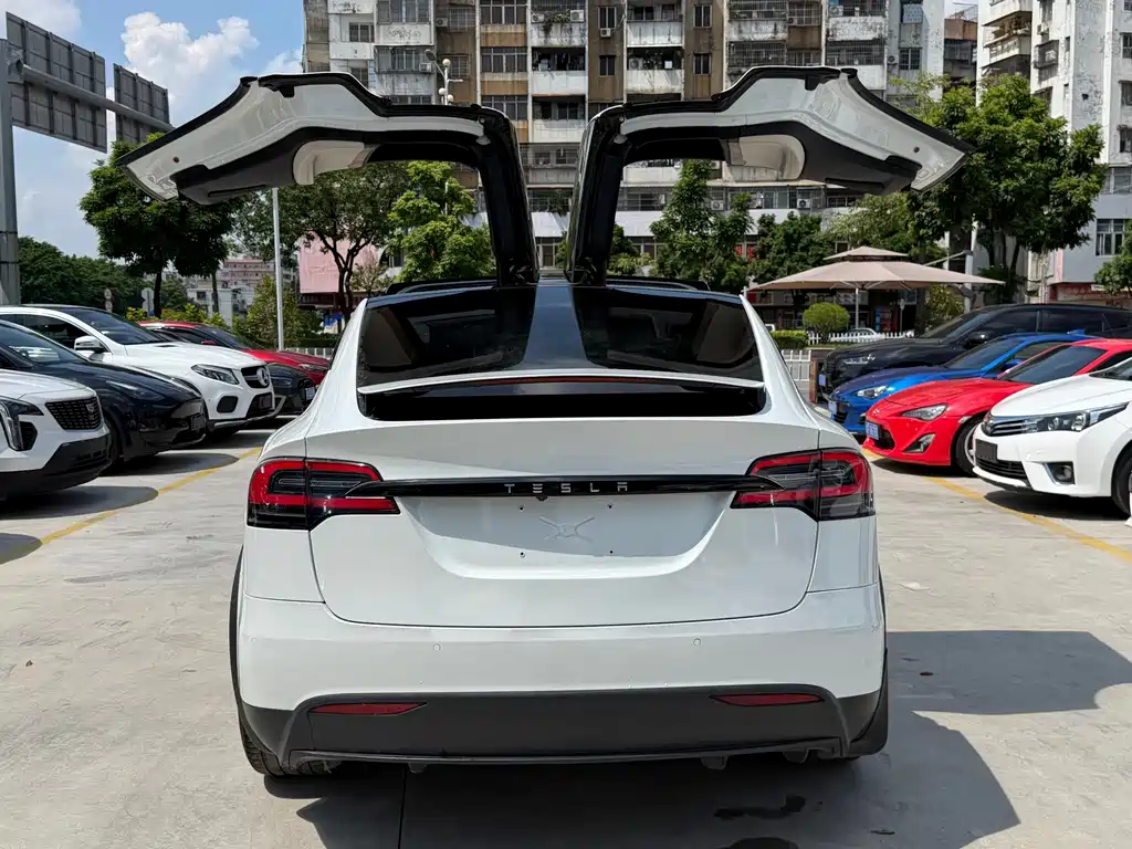 Tesla Model X — миниатюра 4