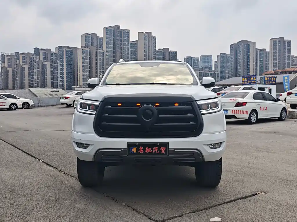 Купить Great Wall Pao