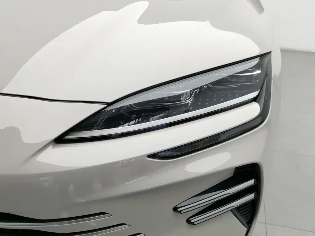 BYD PLUS New Energy — миниатюра 7