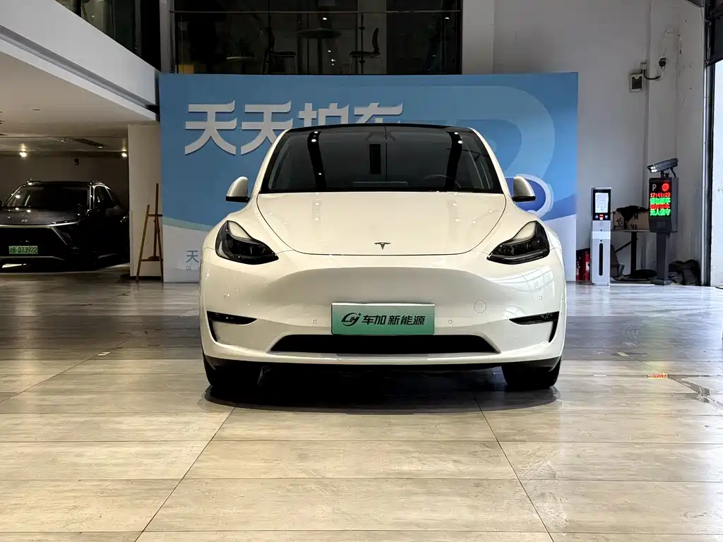 Tesla Model Y — миниатюра 2