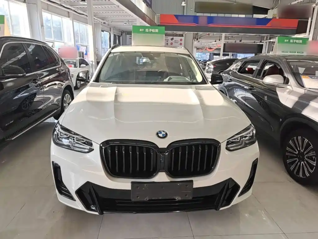 BMW X3 — миниатюра 3