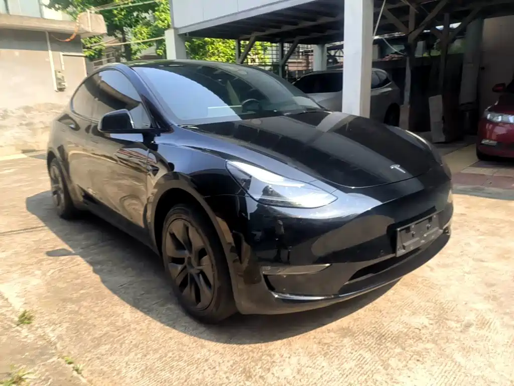 Tesla Model Y — миниатюра 4