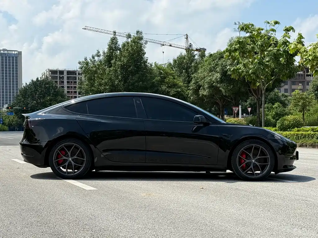 Tesla Model 3 2021 Performance 3D6