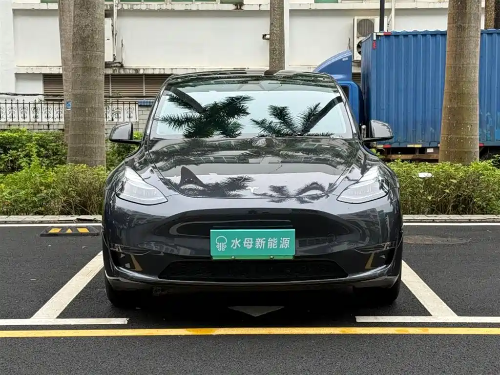 Tesla Model Y — миниатюра 2