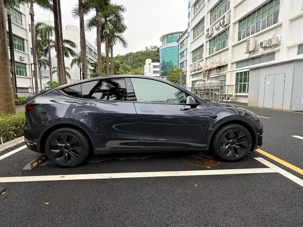 Tesla Model Y — миниатюра 13