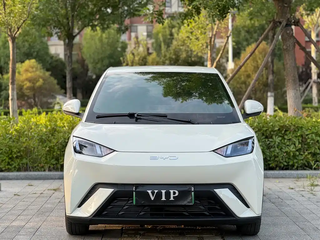 BYD Seagull 2025 305km Freedom