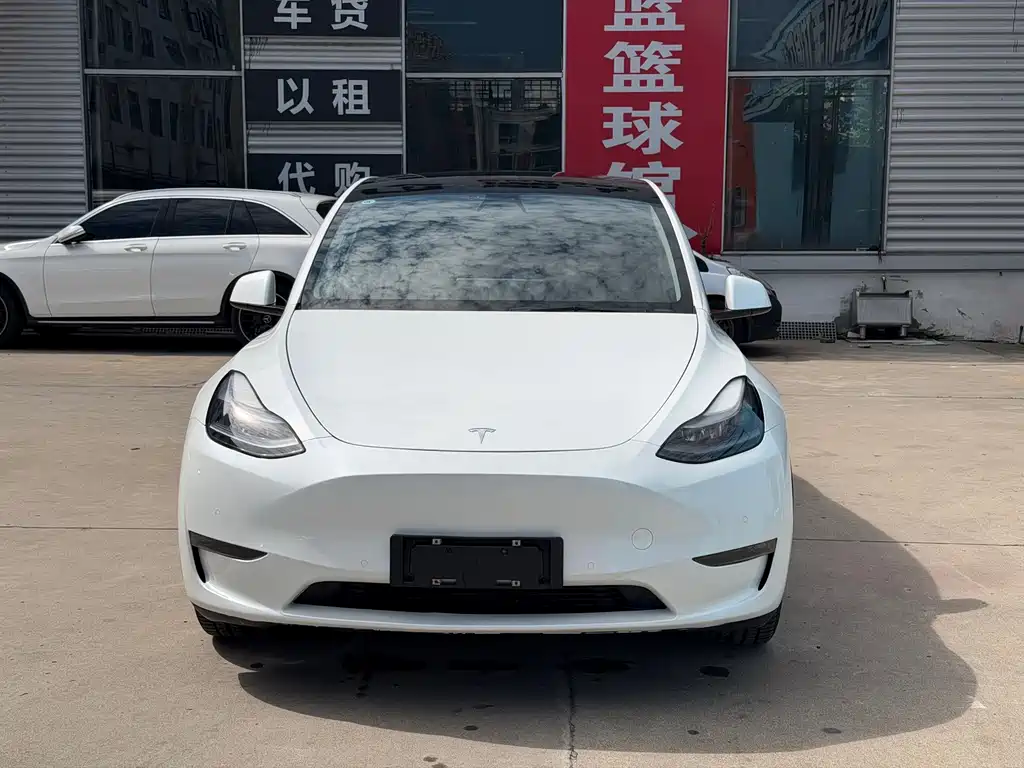 Tesla Model Y — миниатюра 2
