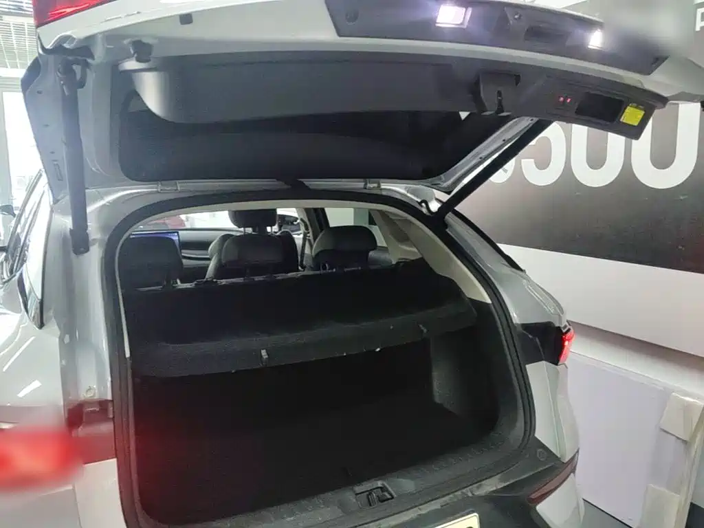 BYD Yuan Plus — миниатюра 19