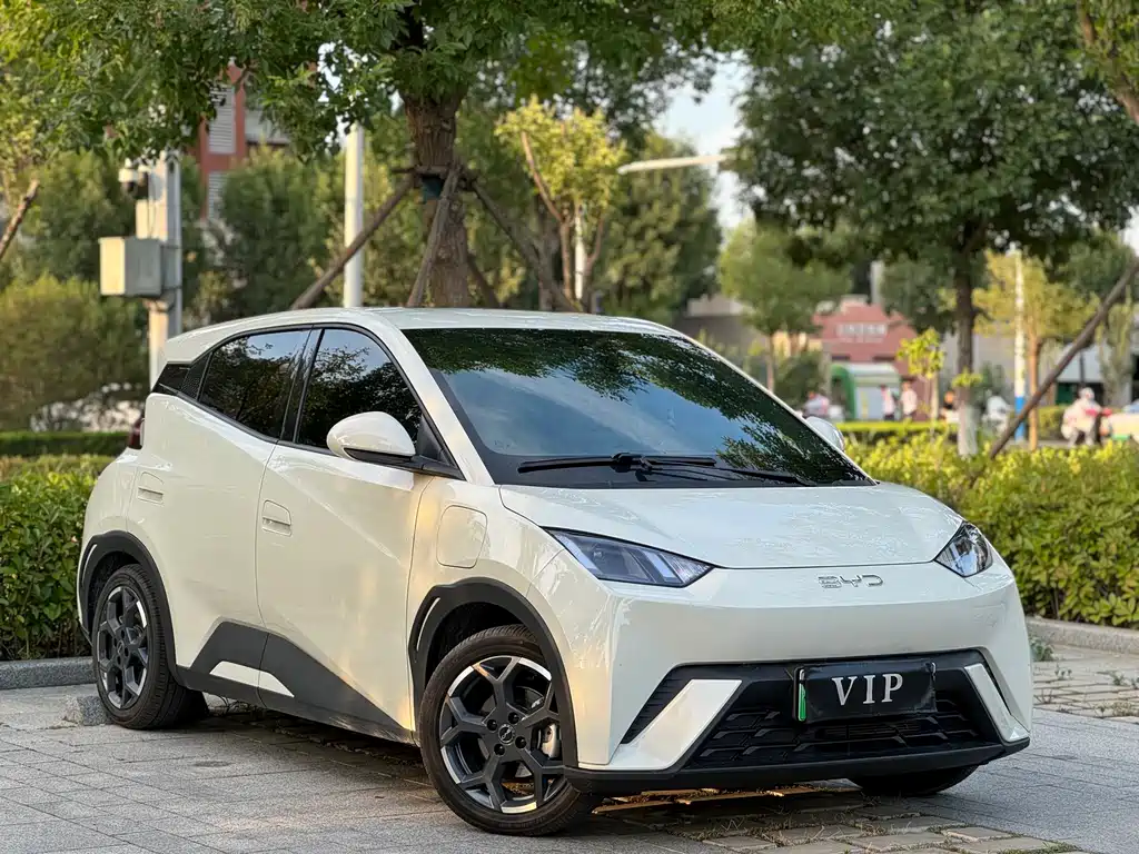 BYD Seagull 2025 305km Freedom