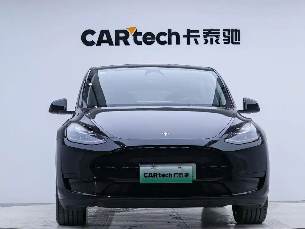 Tesla Model Y — миниатюра 7