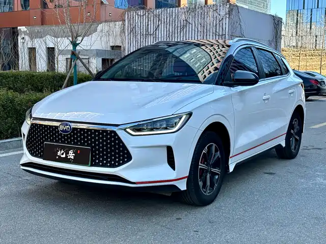 BYD E2 2019