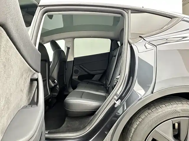 Tesla Model Y — миниатюра 13