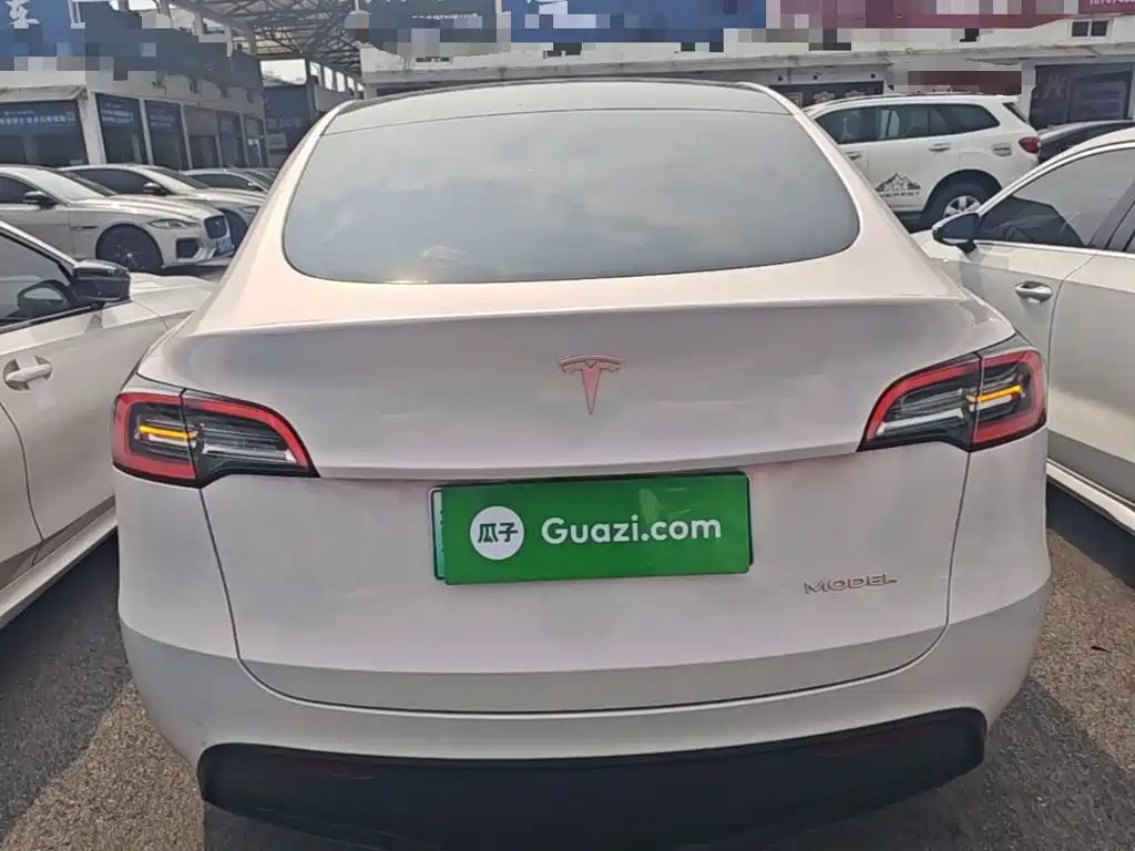 Tesla Model Y — миниатюра 6