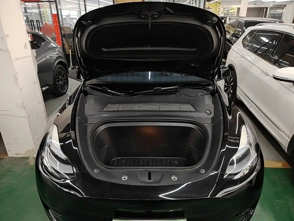Tesla Model Y — миниатюра 20