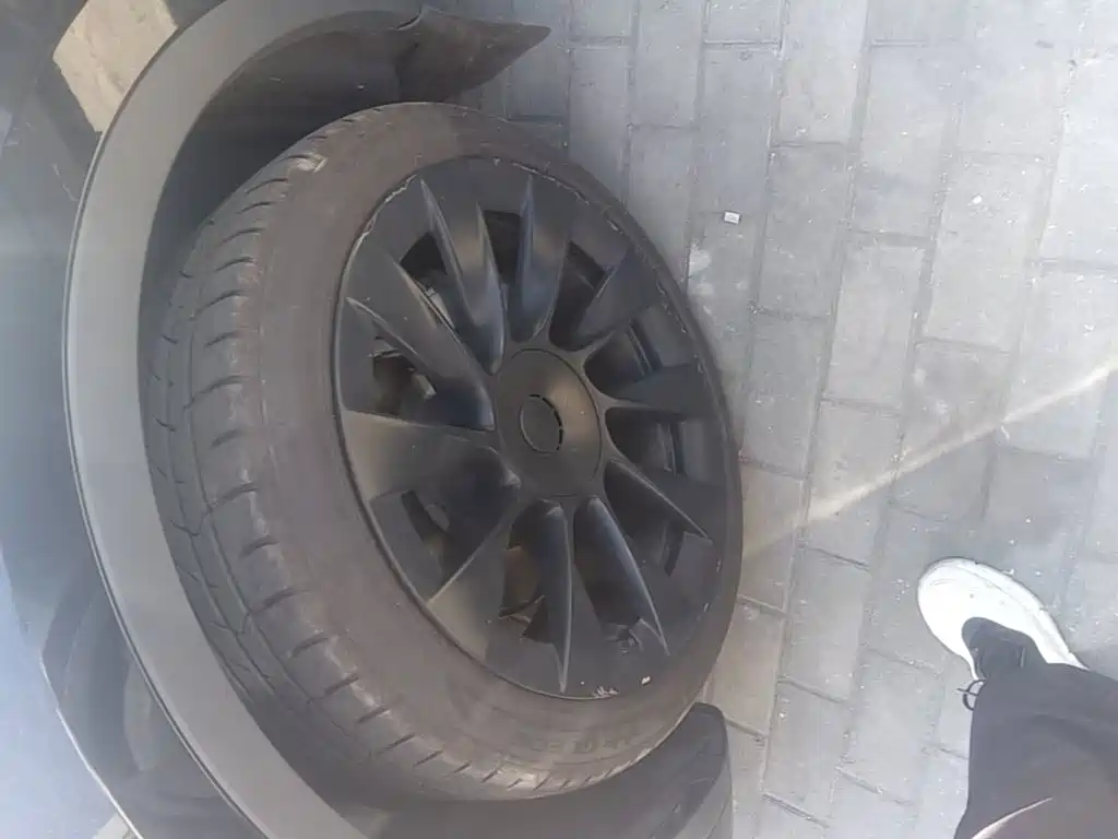 Tesla Model Y — миниатюра 23