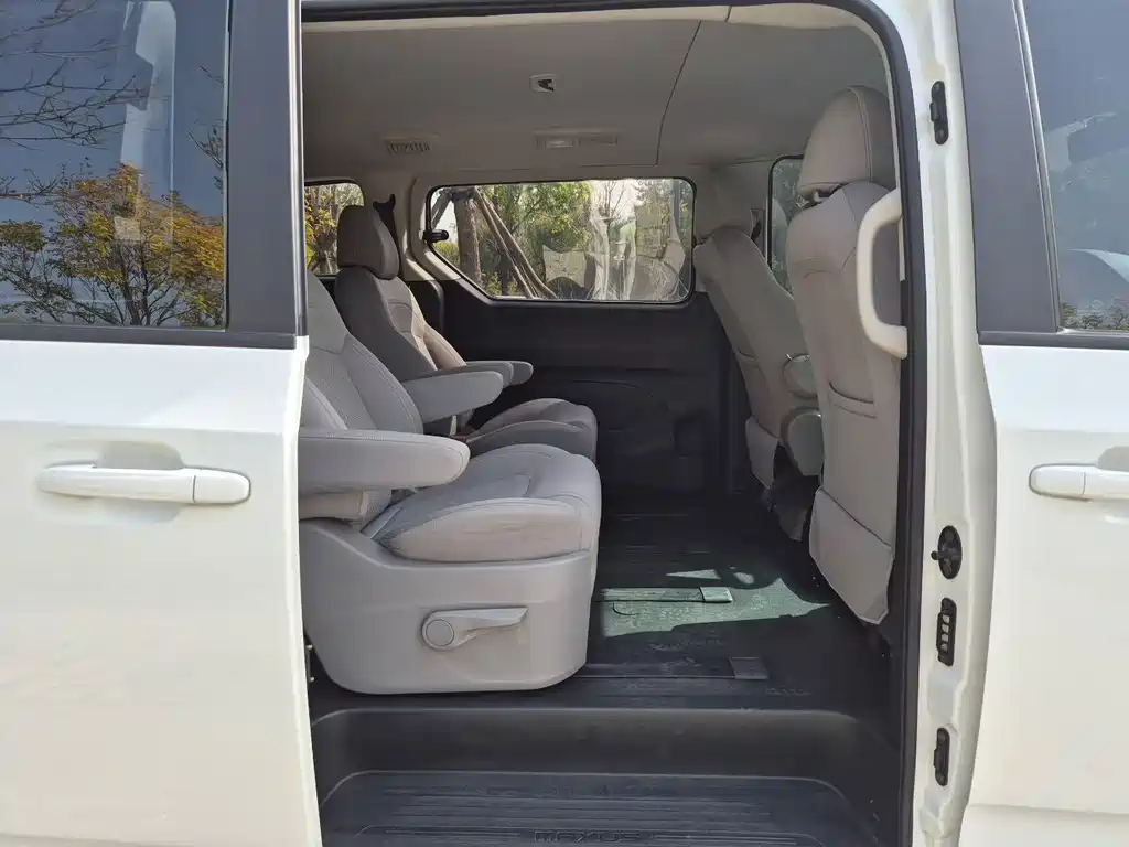 SAIC MAXUS CHASE G10