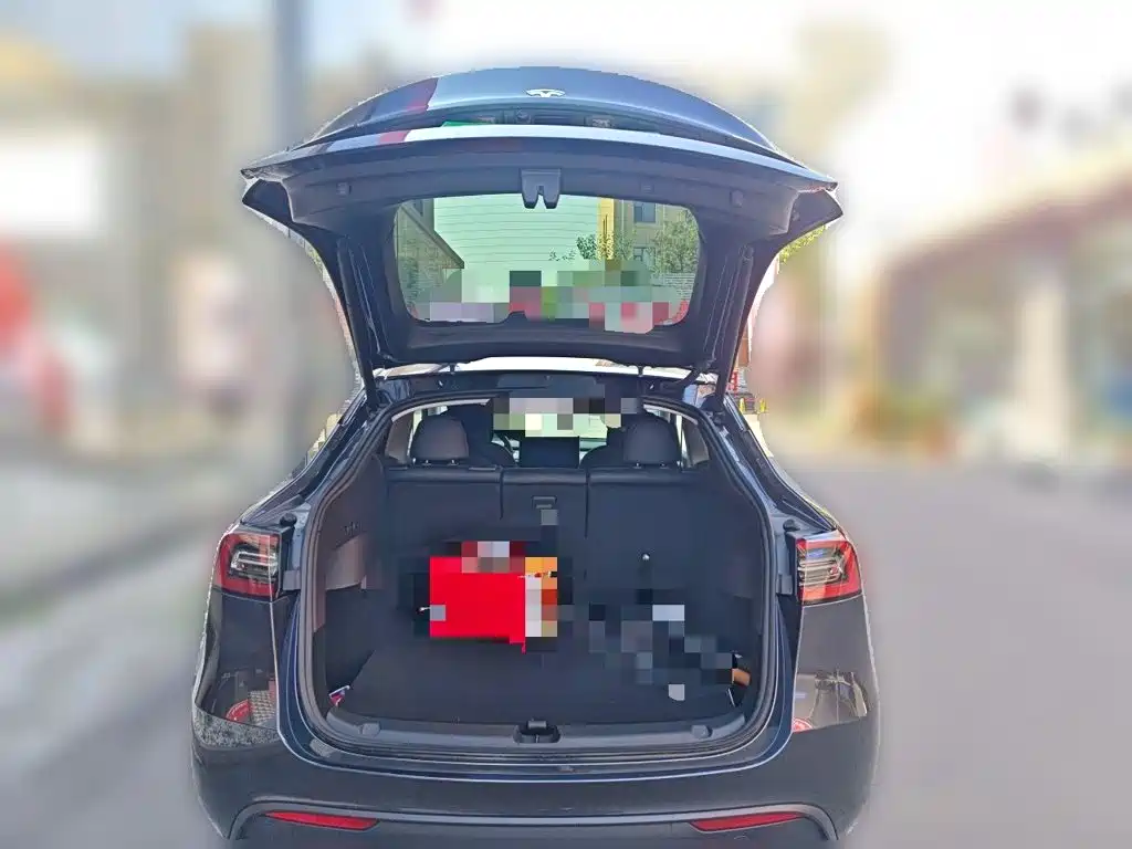 Tesla Model Y — миниатюра 20