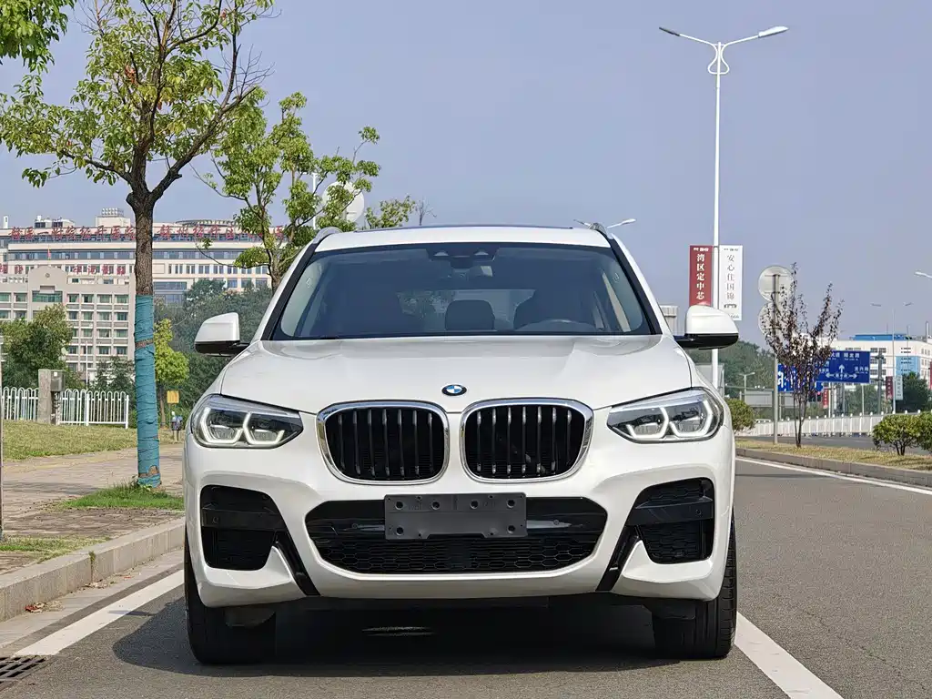 BMW X3 — миниатюра 2