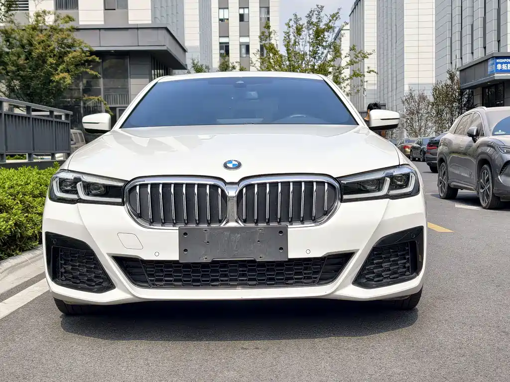 BMW 5 Series (Import) — миниатюра 5