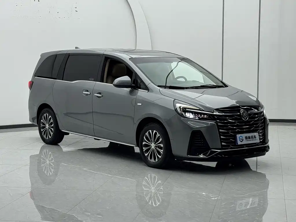 Buick GL8 — миниатюра 3