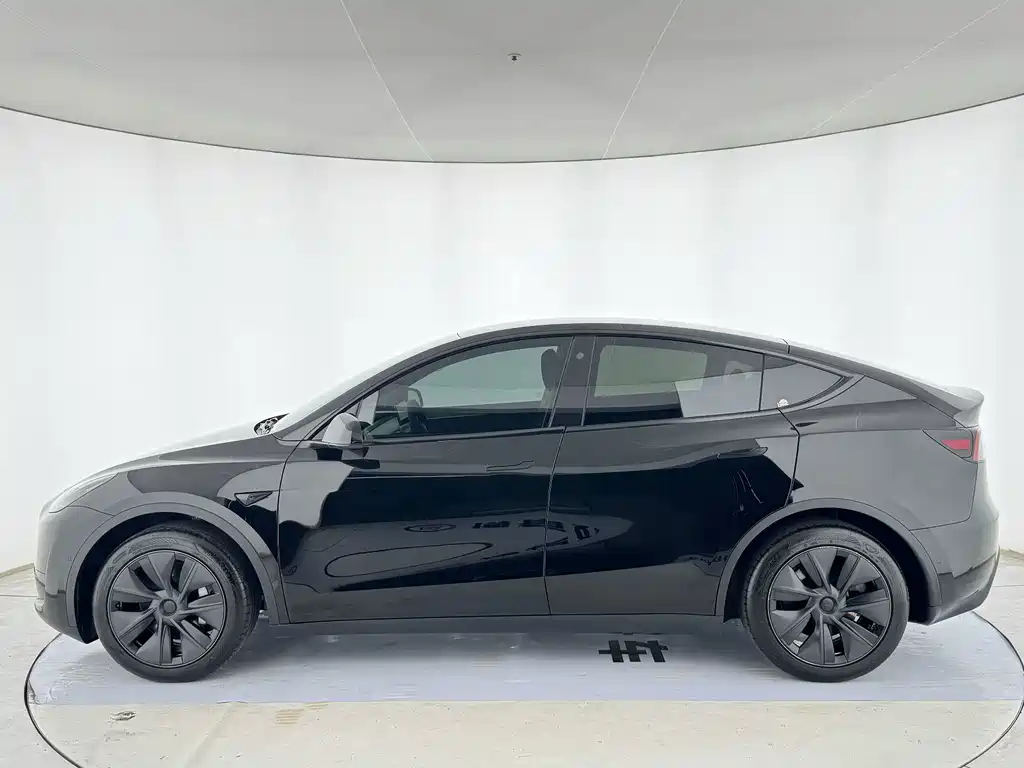 Tesla Model Y — миниатюра 3