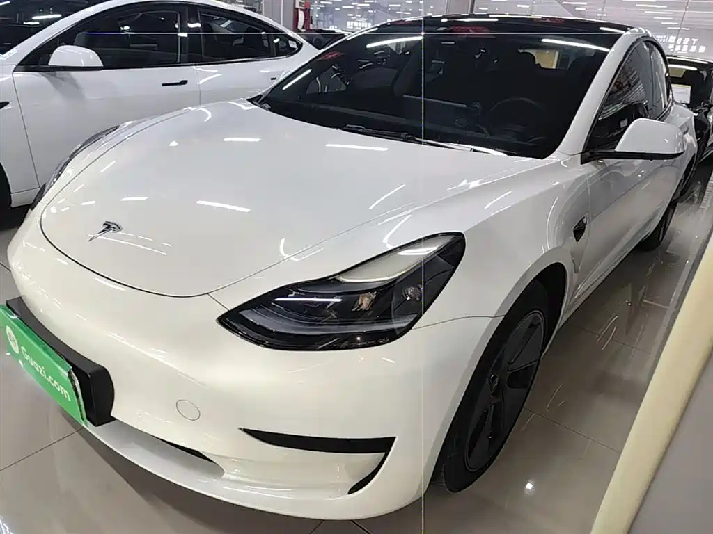 Tesla Model 3 2021